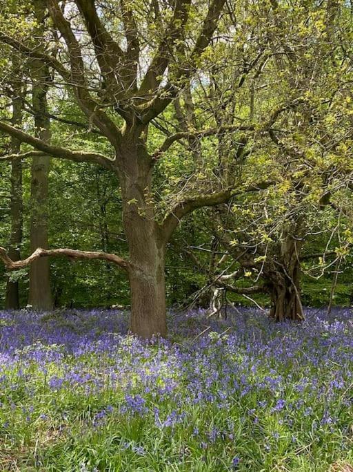 North Cottage Marlfields Hall, Stunning Location Adlington 外观 照片