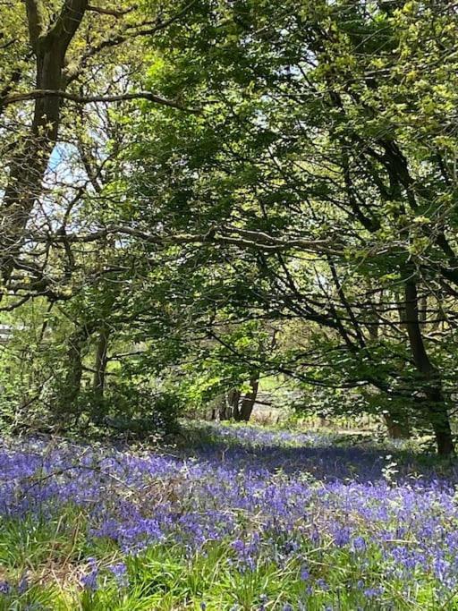 North Cottage Marlfields Hall, Stunning Location Adlington 外观 照片